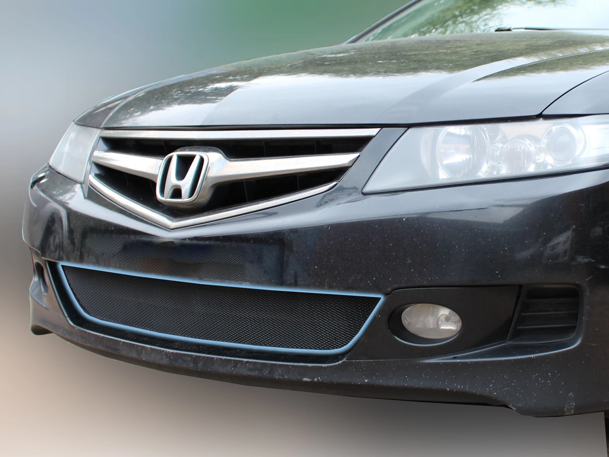 Защитная сетка радиатора для Toyota Corolla XI (E160, E170, Е180)