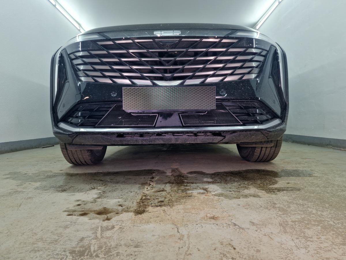 Защитная сетка радиатора низ для Geely Atlas II
