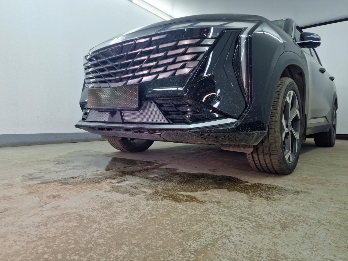 Защитная сетка радиатора низ для Geely Atlas II