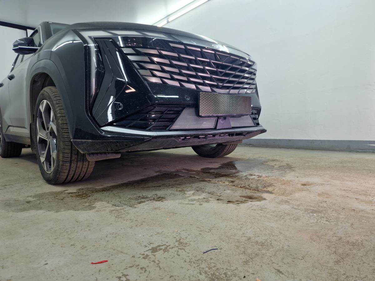 Защитная сетка радиатора низ для Geely Atlas II