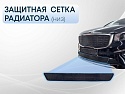 Защитная сетка радиатора низ для Kia Carnival (YP) III Рестайлинг