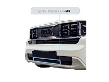 Защитная сетка радиатора низ для Kia Mohave I Рестайлинг 2